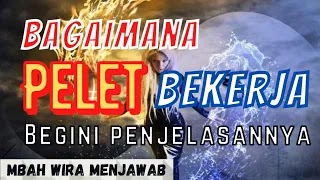 BAGAIMANA PELET BEKERJA?