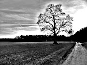  wishing :) chucks schwarz weiss wallpaper