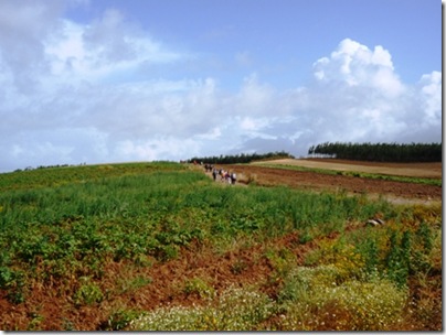 P1020733