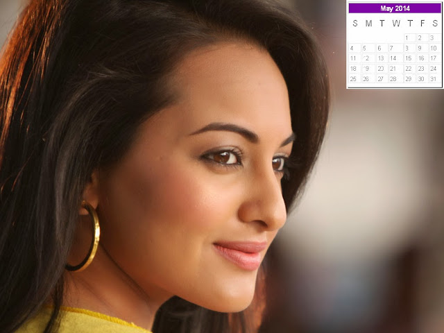 Sonakshi Sinha Calendar 2014