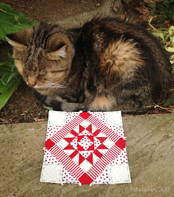 Sparky the Cat with Nearly Insane Quilt Block 28, June 2013