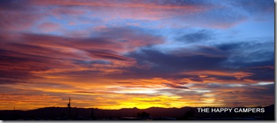 DSC05536