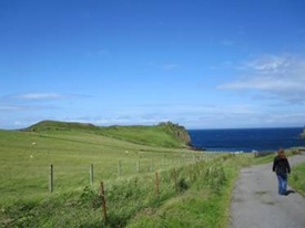 clip_image004
