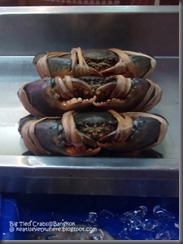 0436_20090416_Bangkok_102