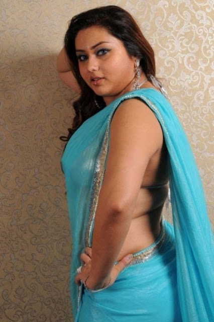 namitha transparent  blue saree 