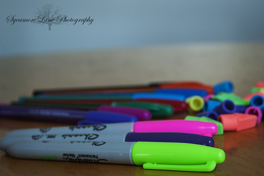 School-SycamoreLane Photography