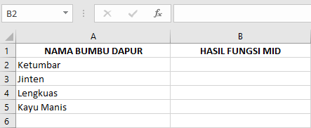 Langkah-Langkah Menggunakan Rumus Fungsi MID pada Microsoft Excel