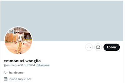 I've been followed on twitter by Emmanuel Wangila, whose handle is emmanue (no L) followed by a random string of numbers, and the only thing in his profile is the words Am handsome