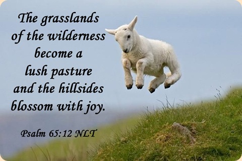 lamb leaping copy