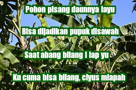 meme pantun lucu