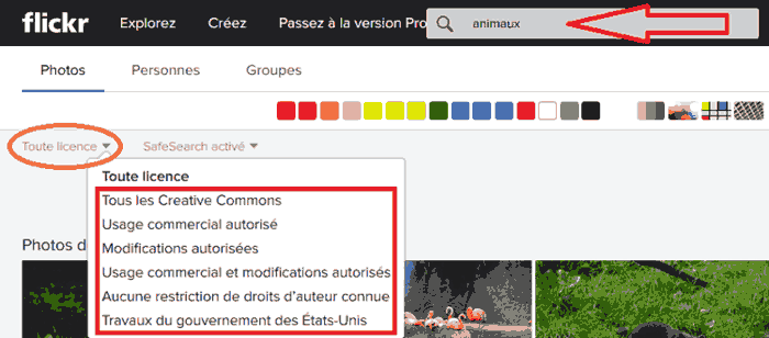 Comment trouver des images gratuites dans Flickr ?