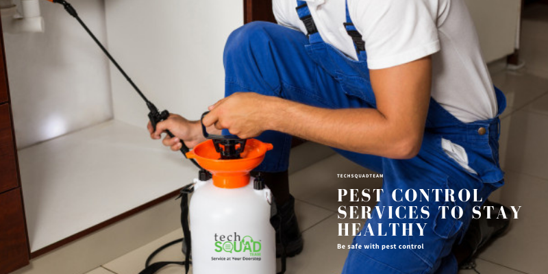 Techsquadteam - pest control services in Bangalore