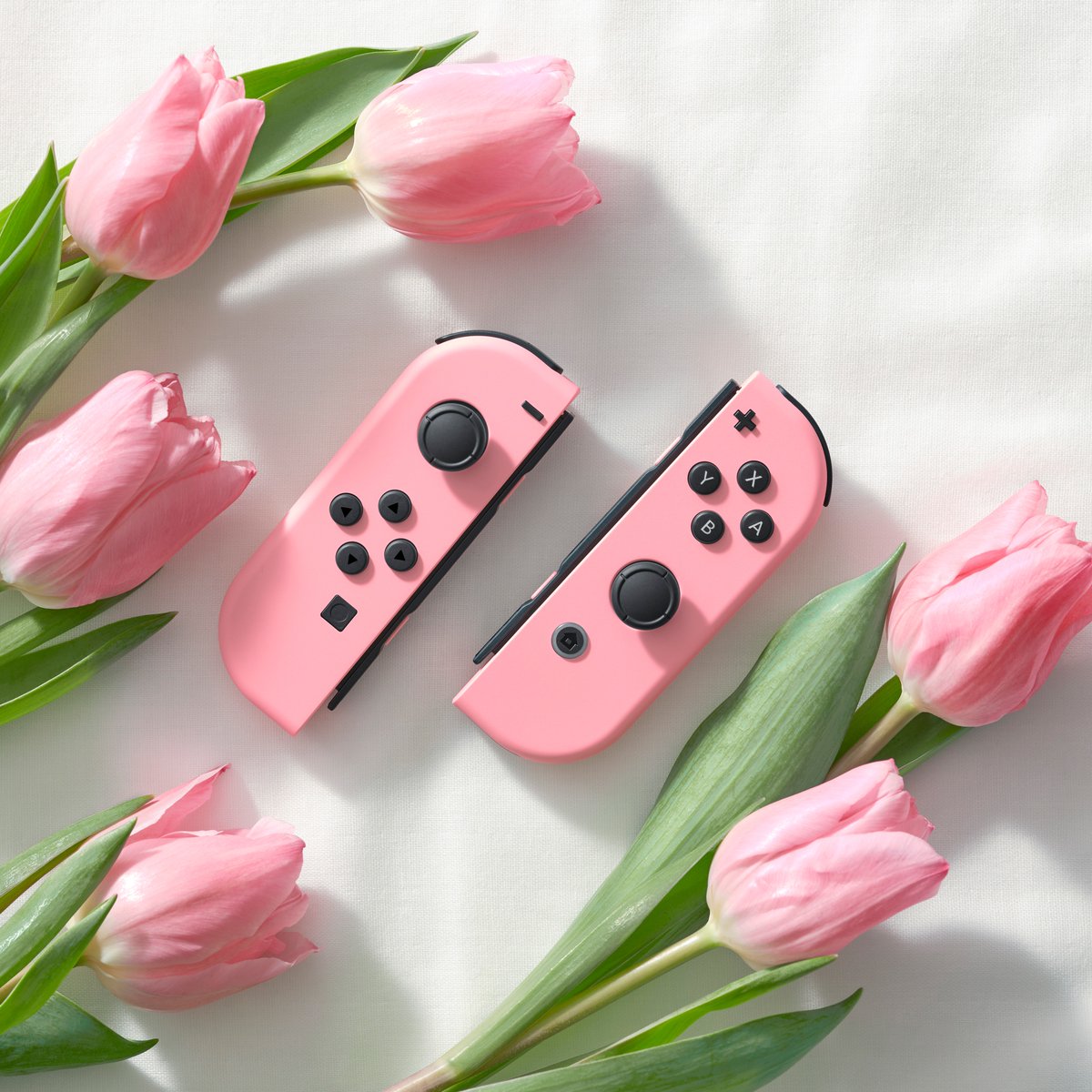 Pastel Pink Joy-Con Coming March 22 Worldwide