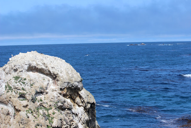 Point Lobos State Reserve, Hidden Beach to Weston Beach