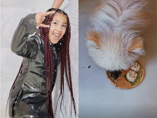 North West, 9, Provides her Pet Pomeranians New Year Treat In New TikTok Video Watch
