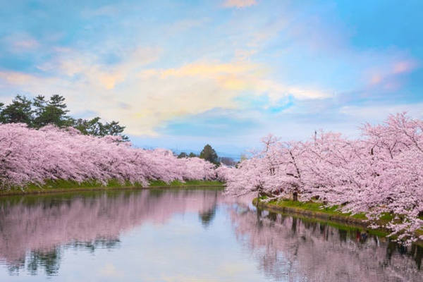 สวนฮิโรซากิ (Hirosaki Park)