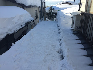 今日の除雪状況