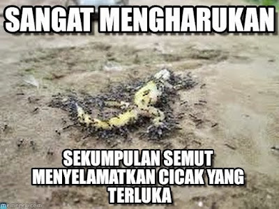 15 Meme Lucu Ini Mengajarkan Cara Bagaimana Selalu Berpikiran Positif