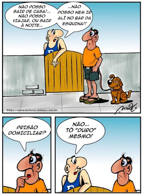 moisescartuns.com.br