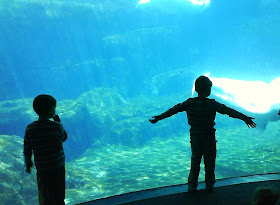 Children amazed by Beluga Wales at Vancouver Aquarium