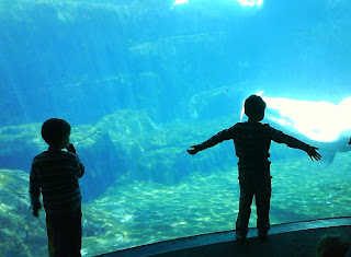 Children amazed by Beluga Wales at Vancouver Aquarium