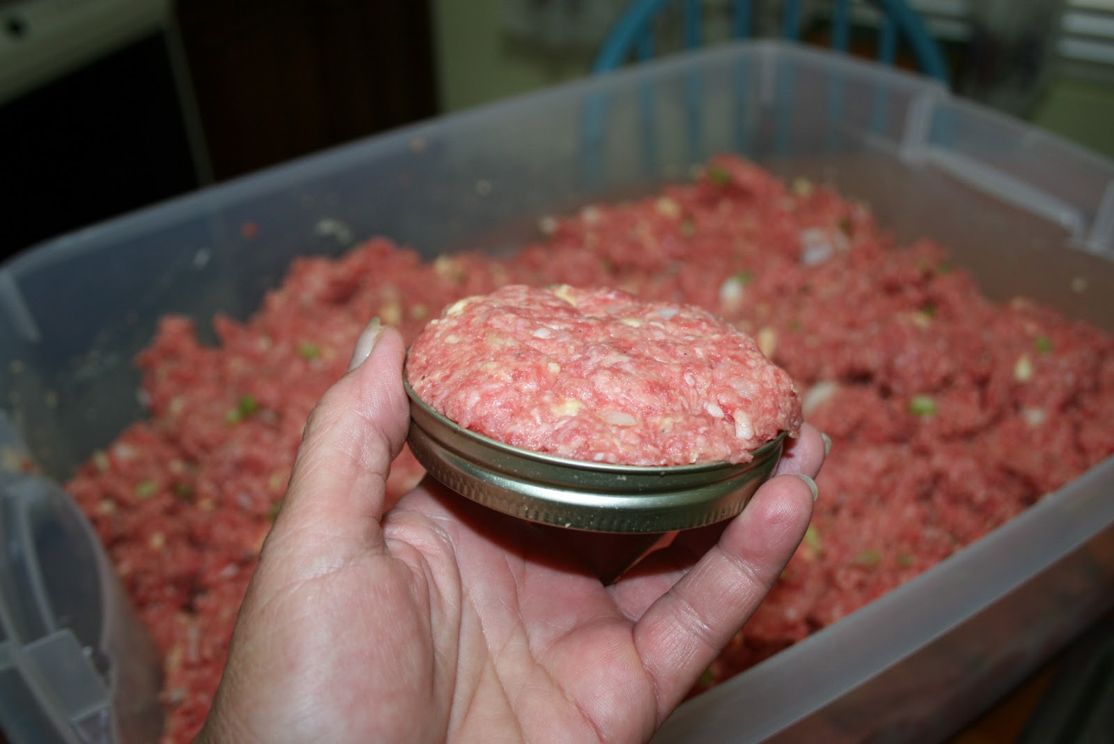 Challenged Survival Canning Amish Poor Man S Steak And Everything In Between