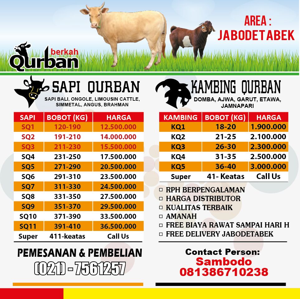 jual kambing qurban di serpong bsd serpong tangerang selatan