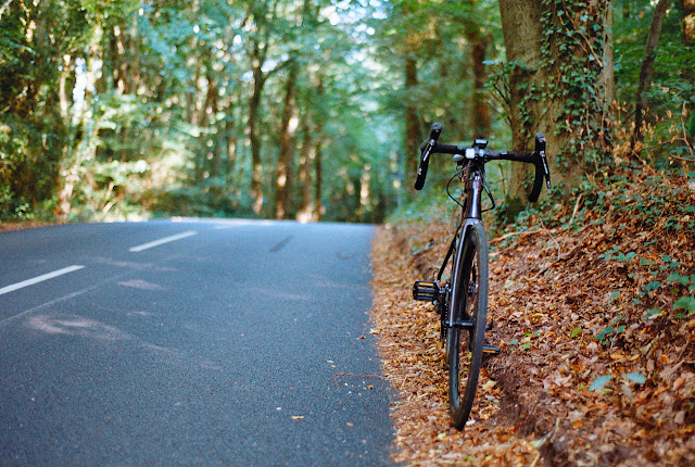 bike autumn leaves