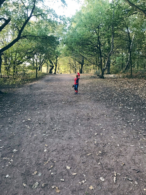 Little boy walking on a woodland path, whilst dressed as Spider-Man and carrying a soft toy