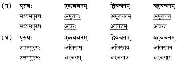 Solutions Class 7 संस्कृत Chapter-7 (सड.कल्पः सिद्धिदायकः)