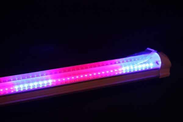 lampu-neon-growlight-10w-03.jpg