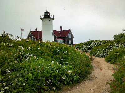 Pathway to Nobska Lighthouse photo by mbgphoto