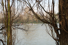 Best dog walks in West London: Part 2: Thames Tow Path