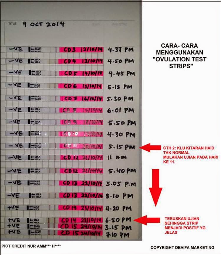 Ovulation test kit (opk) & Pregnancy test (upt) murah