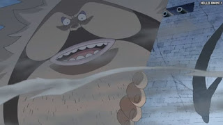 ワンピースアニメ 頂上戦争編 486話 サンファン・ウルフ | ONE PIECE Episode 486