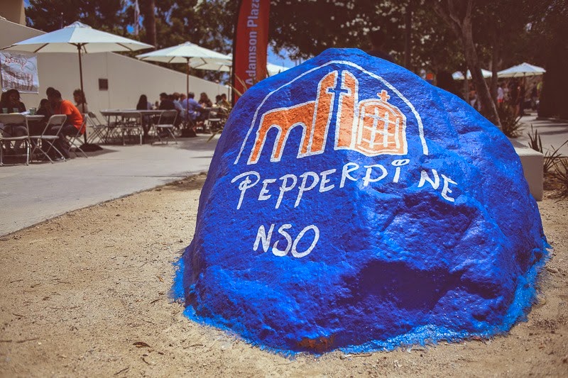 pepperdine nso-8
