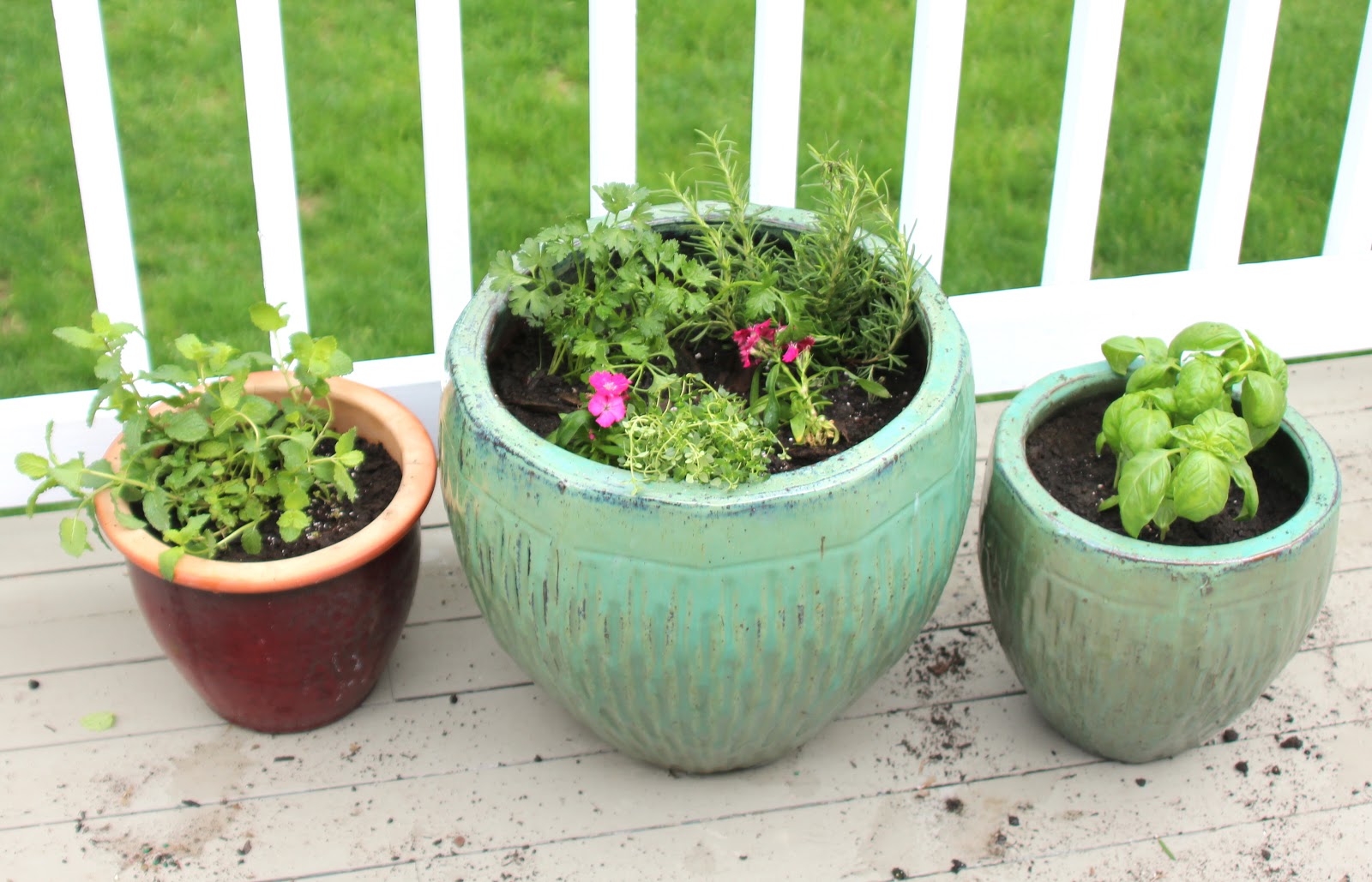 Planting Herbs In Containers Shine Diy Design
