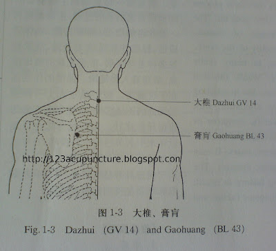 Dazhui, GV14, 大椎, Gaohuang, BL43, 膏肓