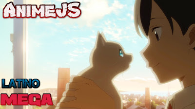 descragar pelicula anime amor de gata en español latino hd 2020