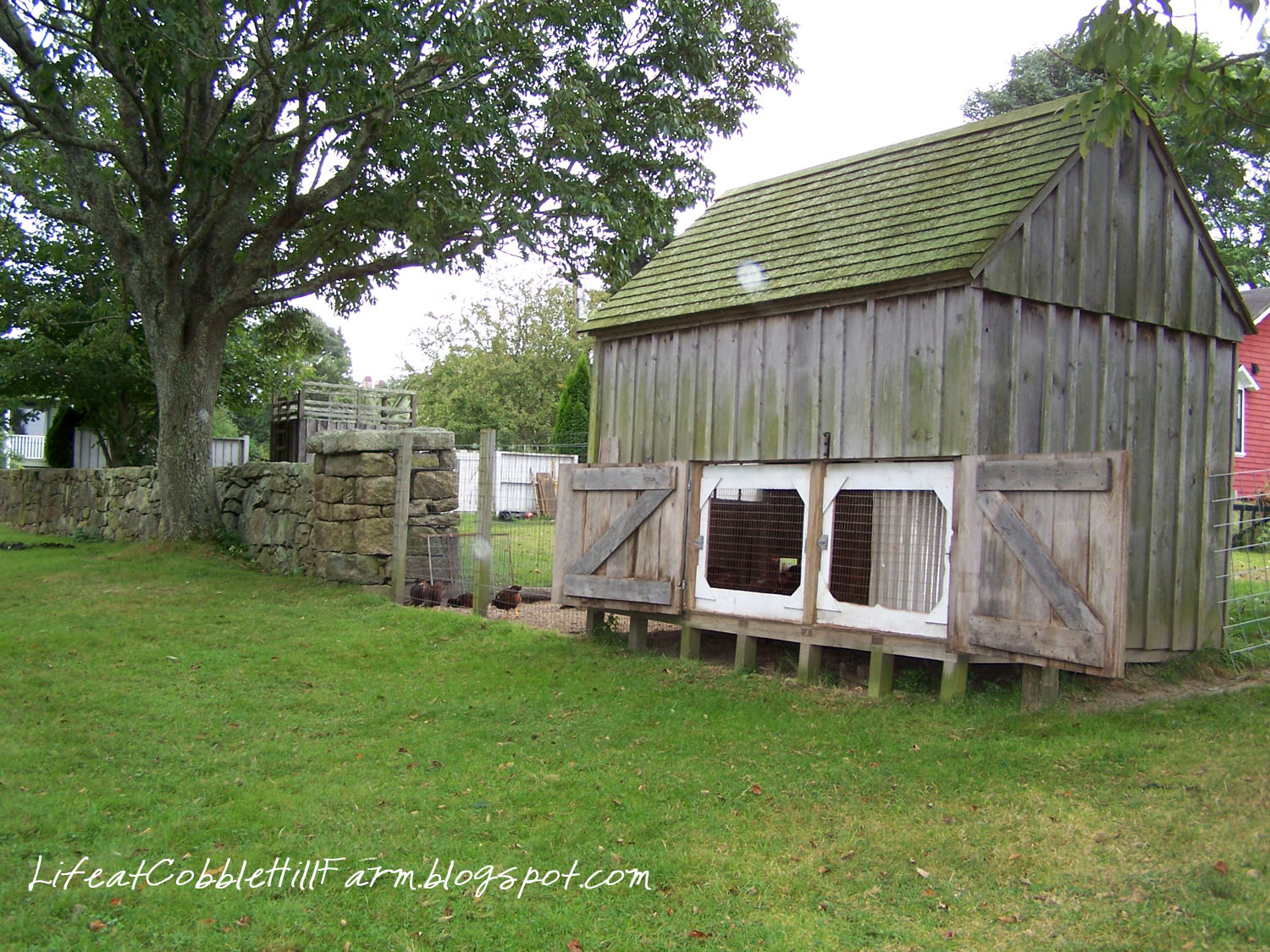 Chicken Coop 101: Thirteen Lessons Learned