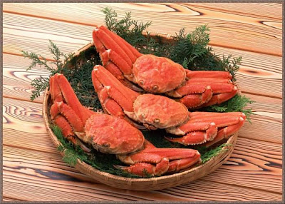 Beautiful ocean fresh seafood Pics