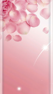 Wallpaper Whatsapp Warna Pink