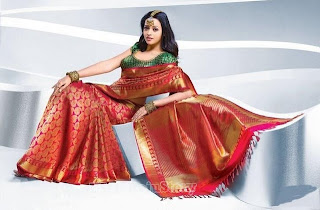 hot and sexy Bhavana In Saree mediafire picture photo wallpapers download{ilovemediafire.blogspot.com}