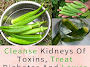  Cleanse Kidneys Of Toxins, Treat Diabetes And Lower Cholesterol With This Easy Recipe 