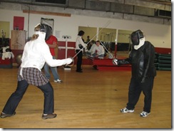 fencing 06