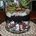 Exotic DIY Miniature Plant Terrarium