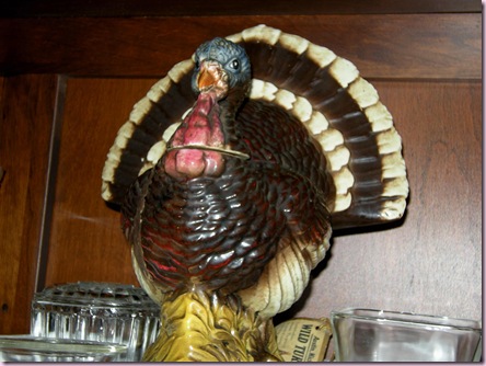 Turkeys1751