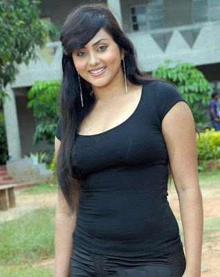 Actress Namitha Hot Photo