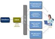 dbms (database management system)