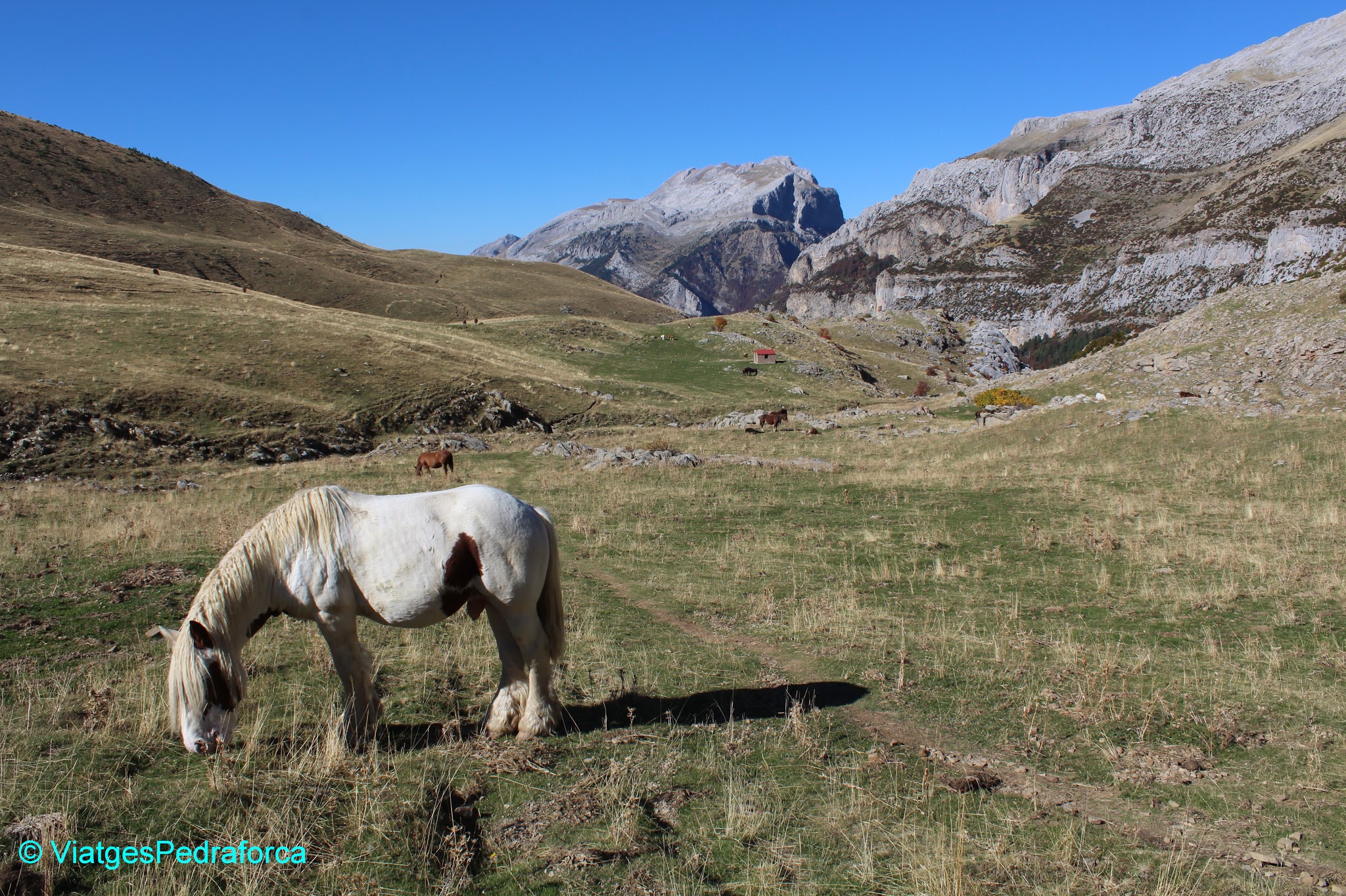 PIrineu Aragonès, Valle de Hecho, Val d'Echo, Parc natural de los Valles Occidentales, colors de tardor, senderisme